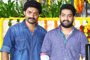 Official: Young Tiger Jr NTR to Campaign for MLA
