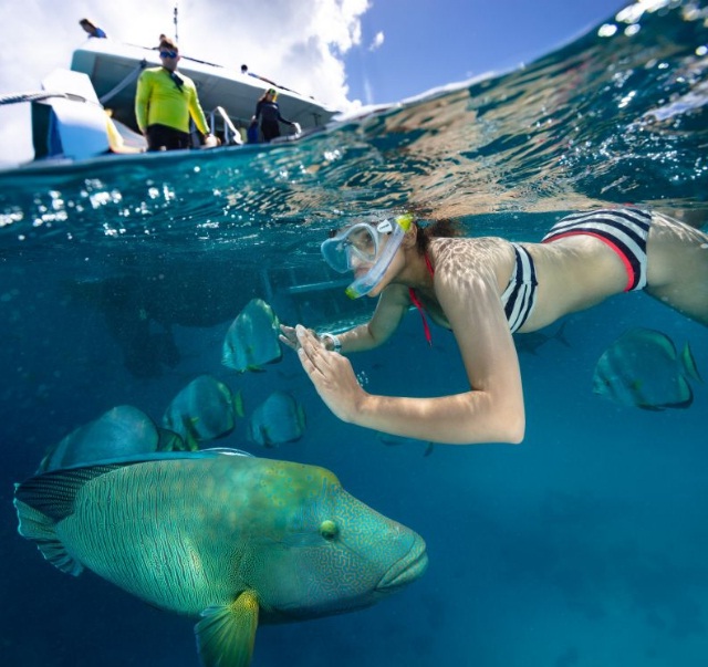 Bikini Babe Parineeti Chopra enjoys scuba diving in the Great Barrier Reef