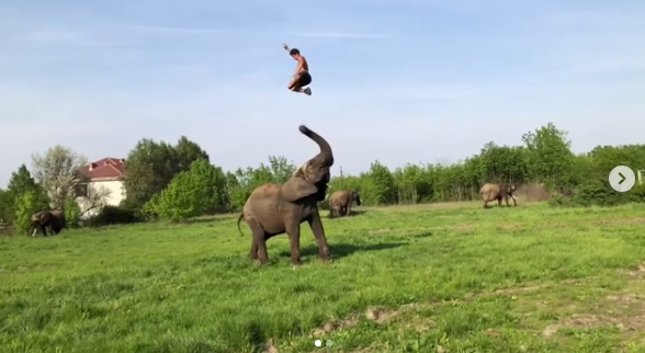 Rene Kaselowsky performs Baahubali Prabhas elephant stunt! Video Viral