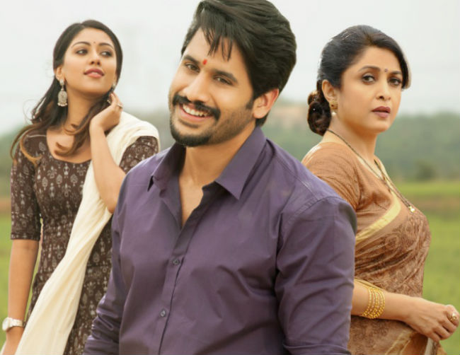 Shailaja Reddy Alludu 2 Days AP/TS Collections