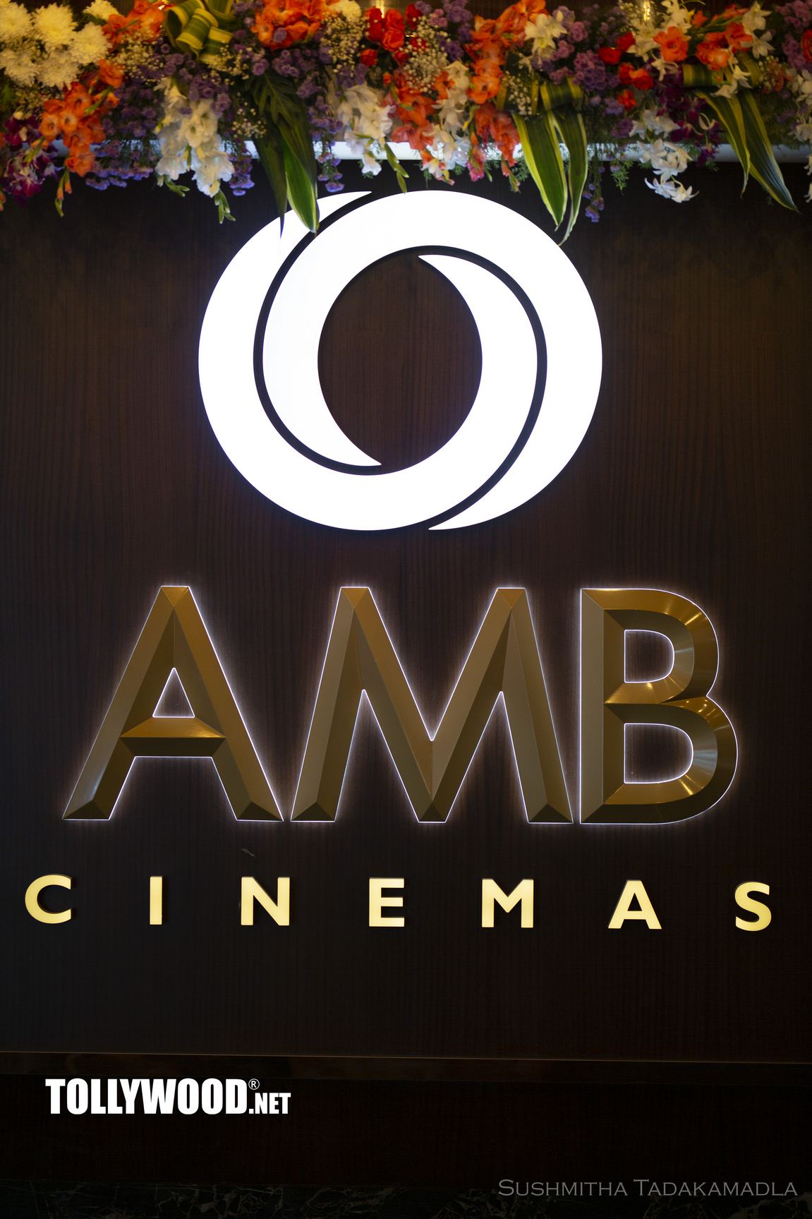 AMB Cinemas Multiplex Pics