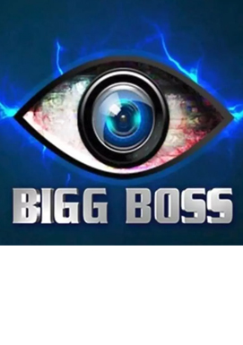 Bigg Boss 3 Contestants List
