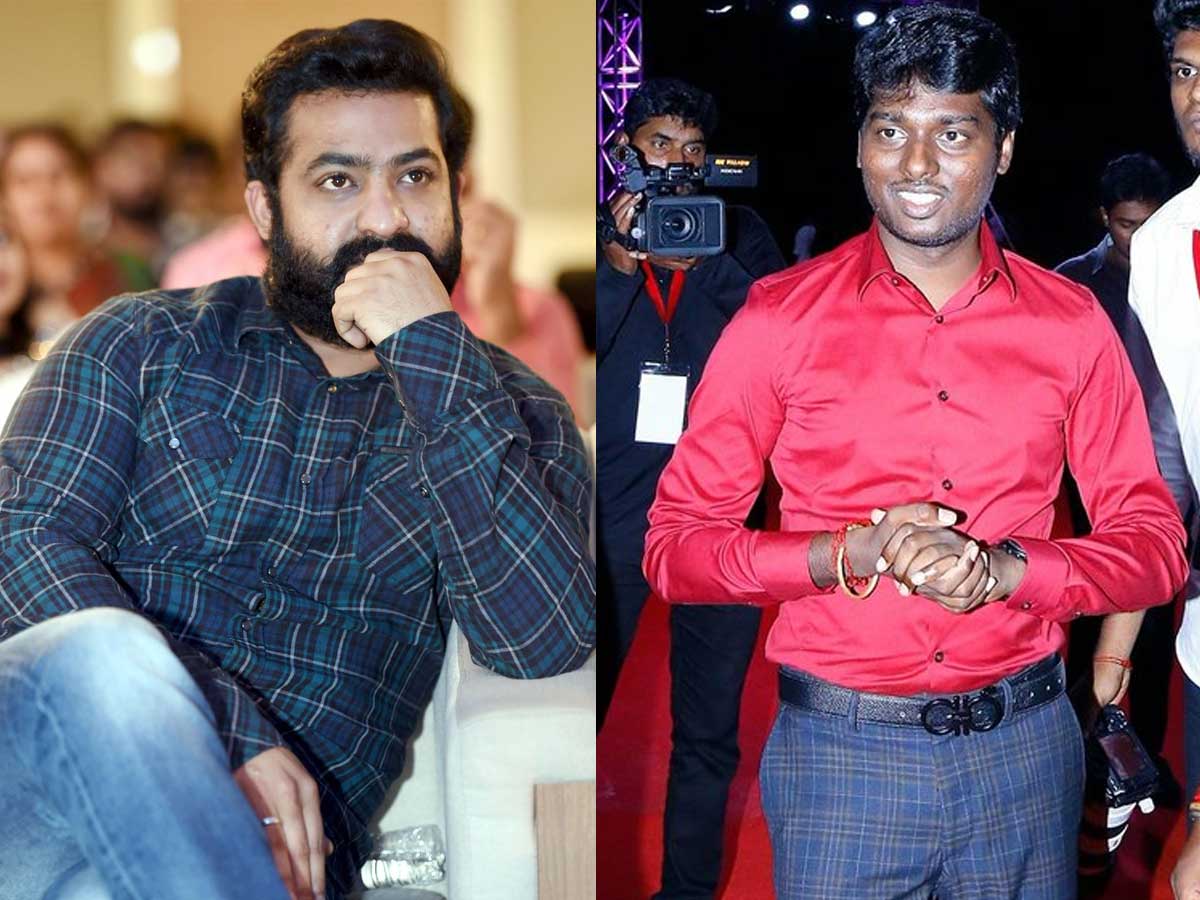 Atlee to direct Jr NTR?