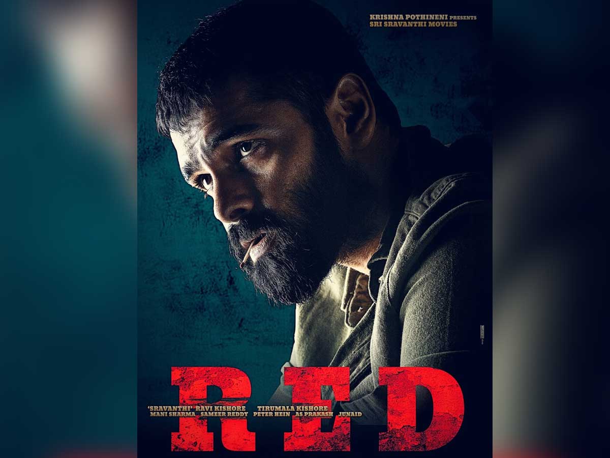 Ram Pothineni a tough guy with irreverent attitude in Red