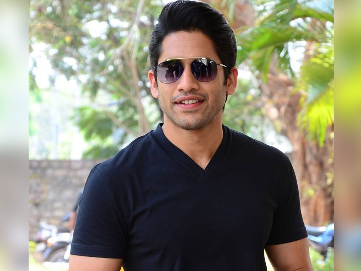 This Fanism only for Naga Chaitanya