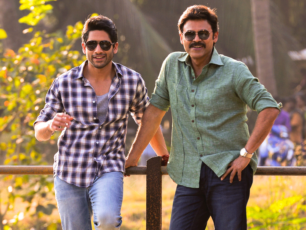 Venky Mama 23 days Worldwide Collections