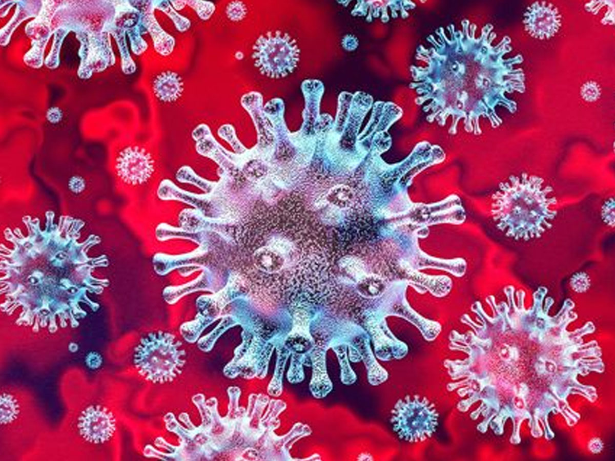 17 Coronavirus cases in a single day in AP