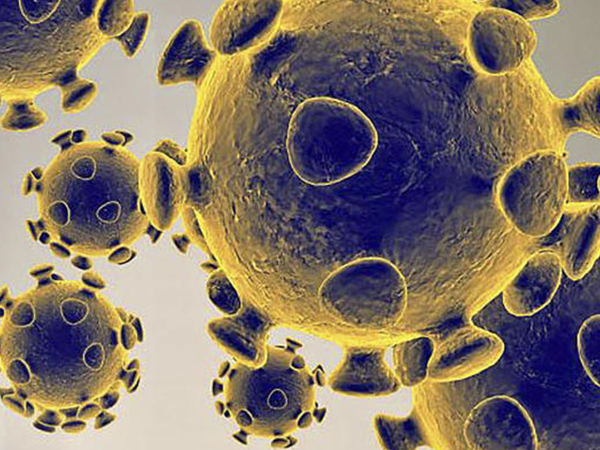 6 dead in Telangana: Coronavirus