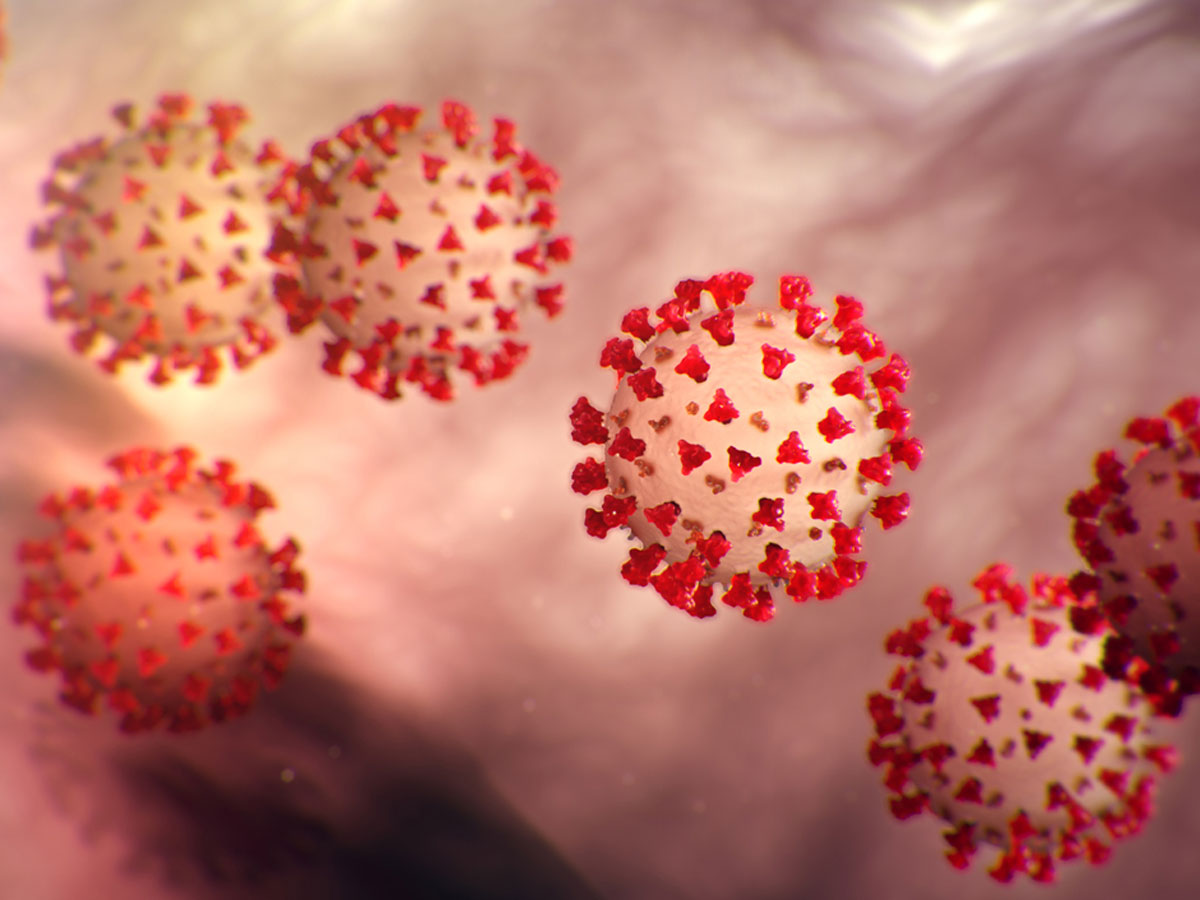 Coronavirus deaths pass 6,500 worldwide