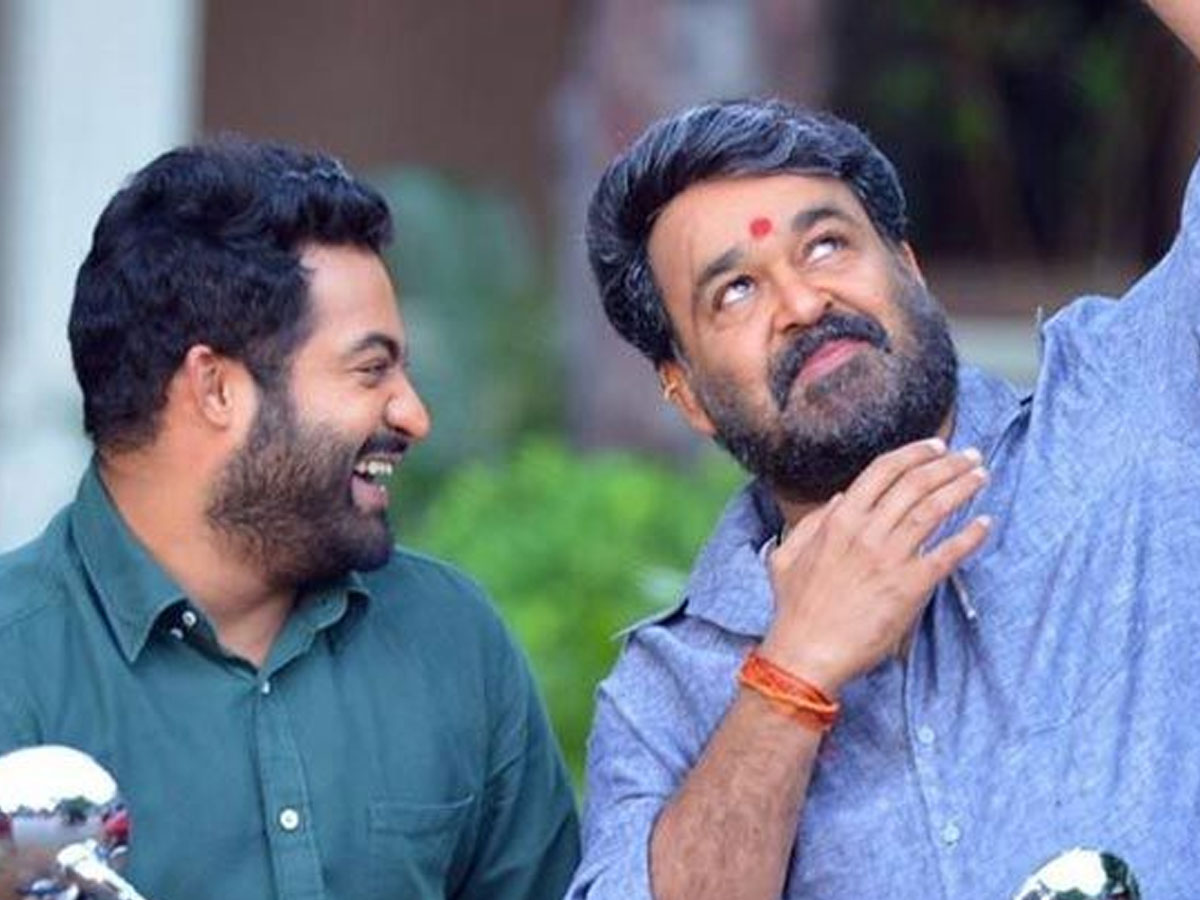 Mohanlal propels Jr NTR to be a rebellion?
