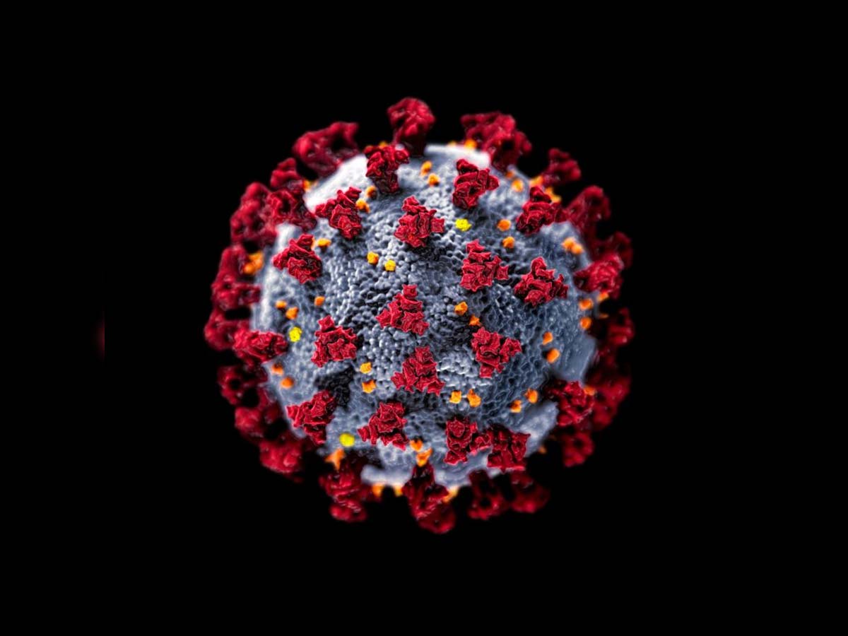 Coronavirus cases crosses 70,000 in India