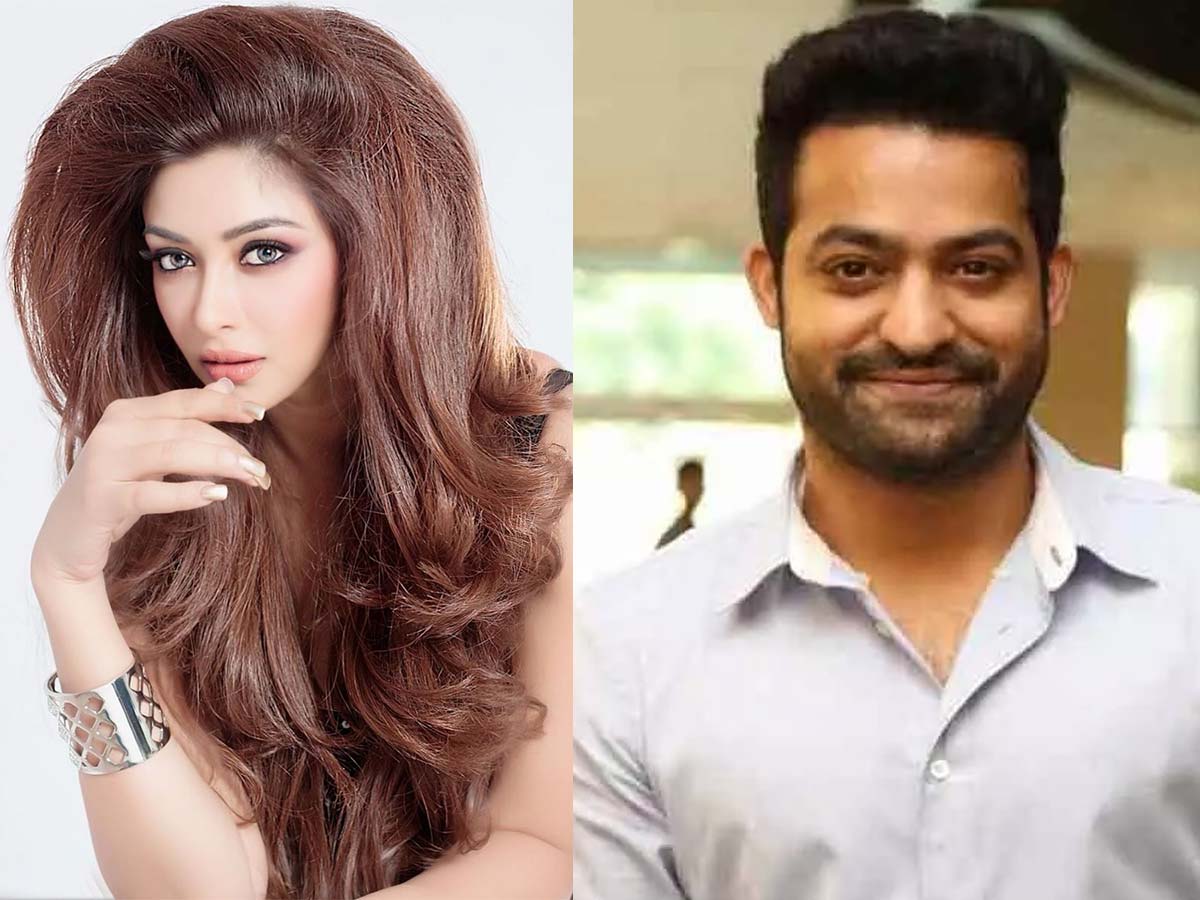 Payal Ghosh: You know nothing about Jr NTR, So shut the f * ck up!