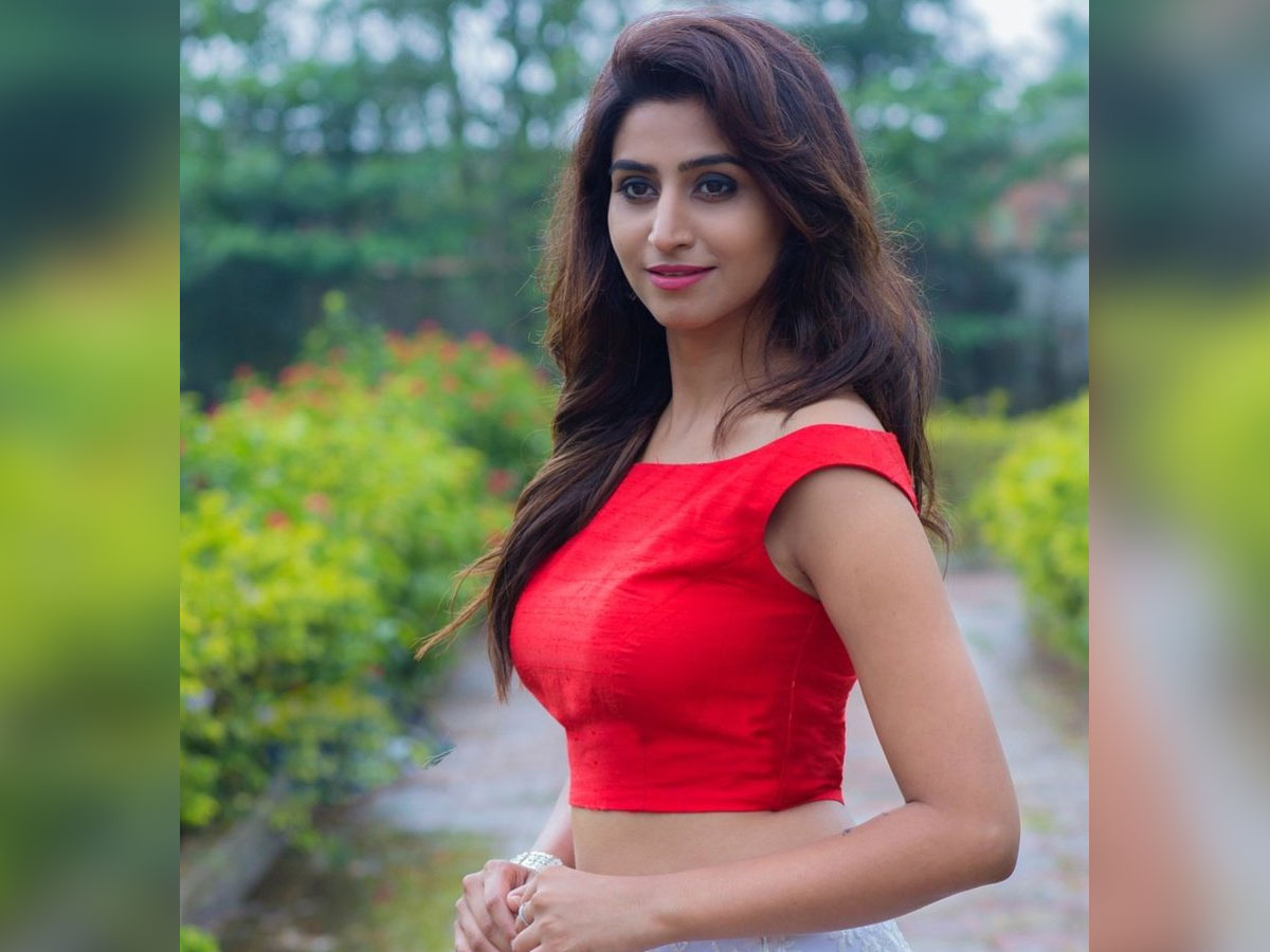 Varshini Sounderajan: I was approached for Bigg Boss 4 Telugu but not a part of it