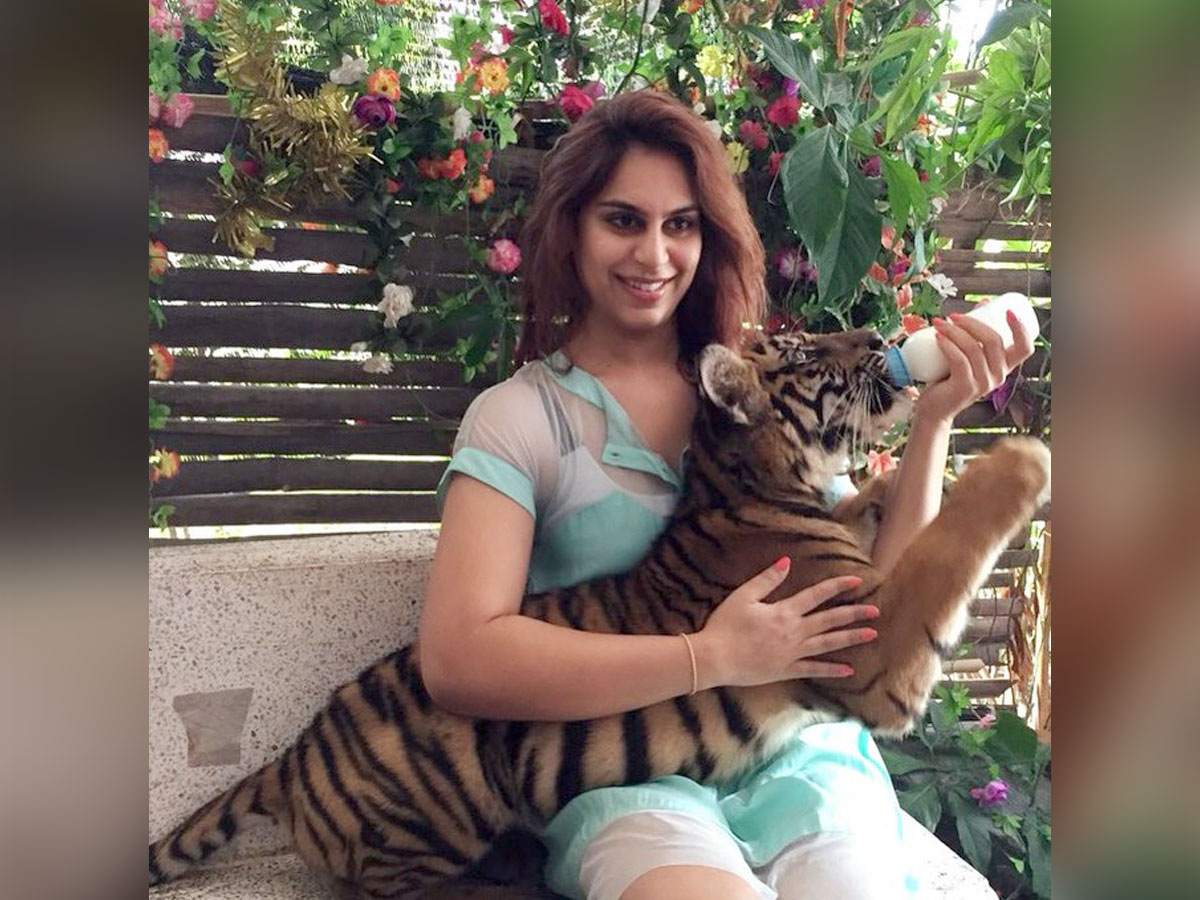 Ram Charan wife feeds Tiger Cub