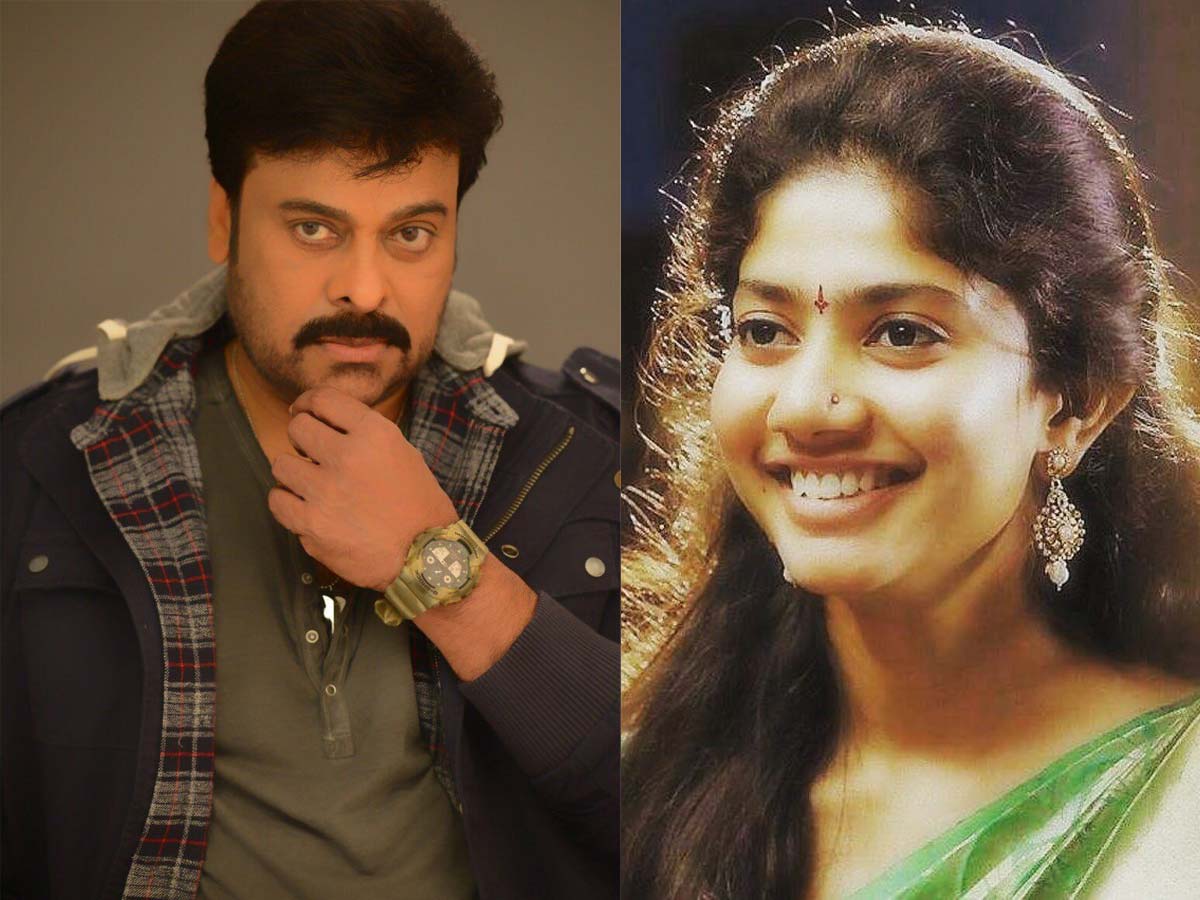 Sai Pallavi has art of seizing people attention but she rejects Chiranjeevi offer