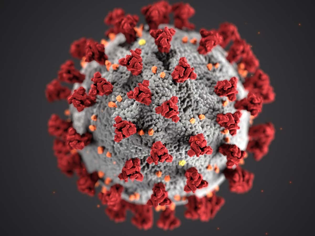 Telangana and Bihar not doing Adequate Tests for Coronavirus