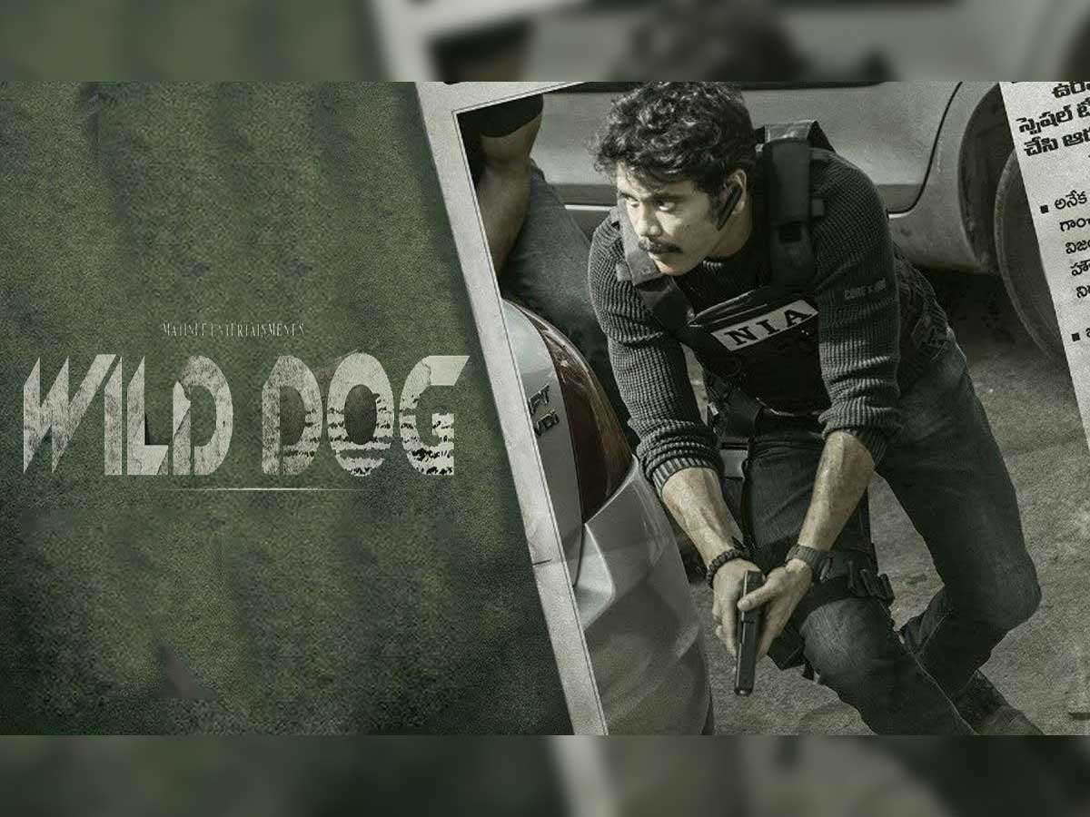 Wild Dog teaser on Nagarjuna birthday?