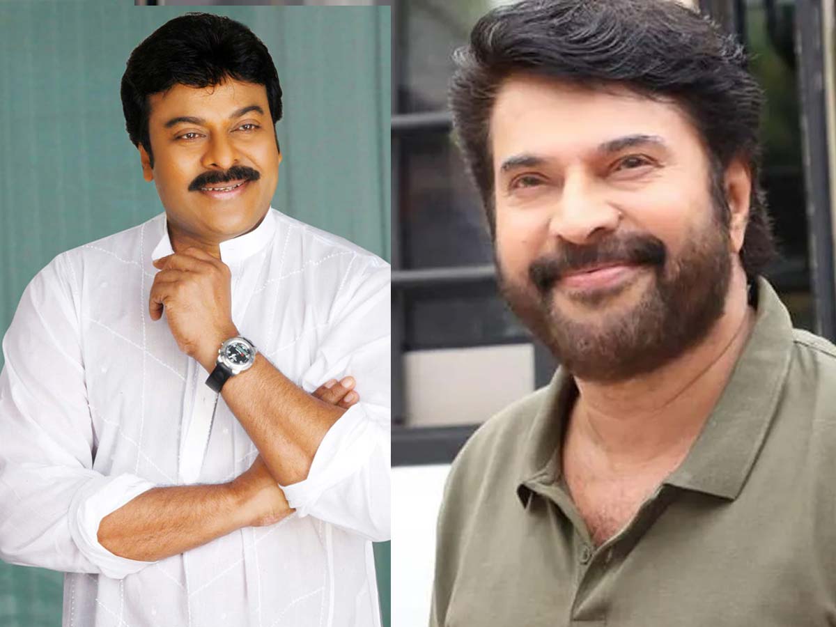 Mammootty's cinematic brilliance in 2023 and upcoming gems in 2024 |  Onmanorama