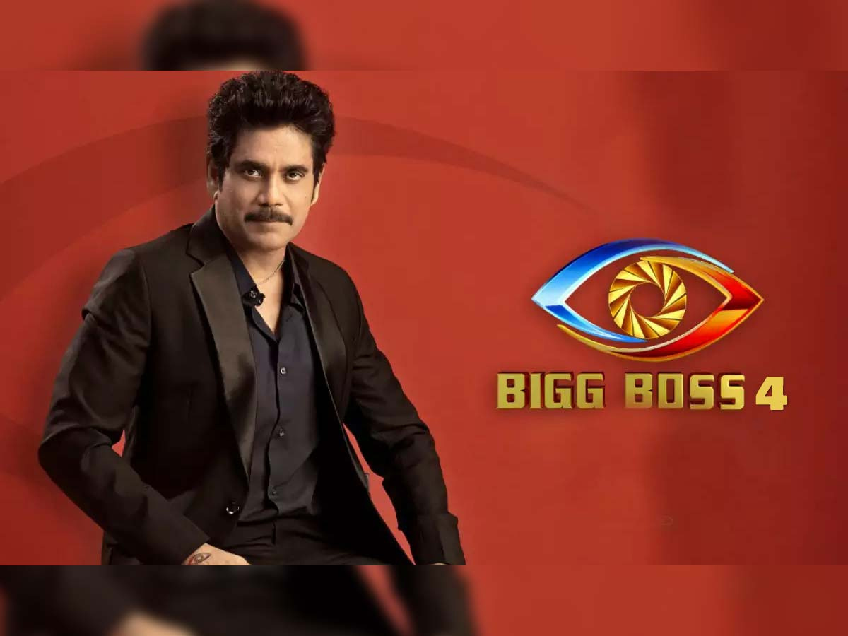 Bigg Boss 4: Non-Telugu irking audience the most
