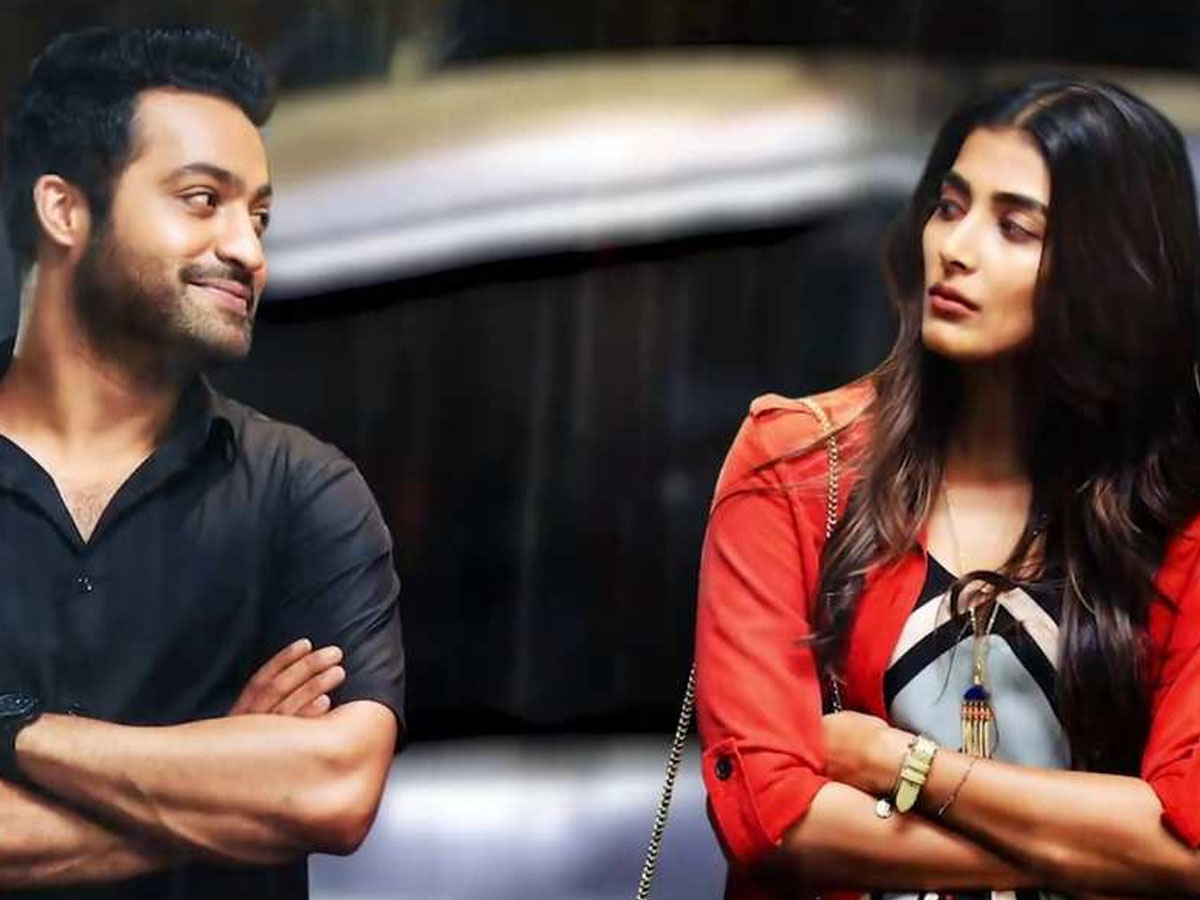 Pooja Hegde: The man of the masses Jr NTR is great