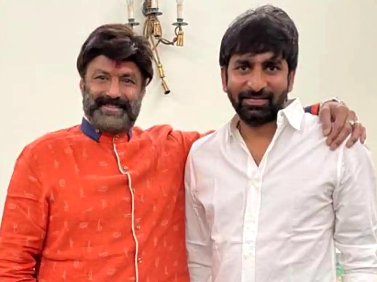 Balakrishna to step his shoes into Seema faction again in Gopichand film