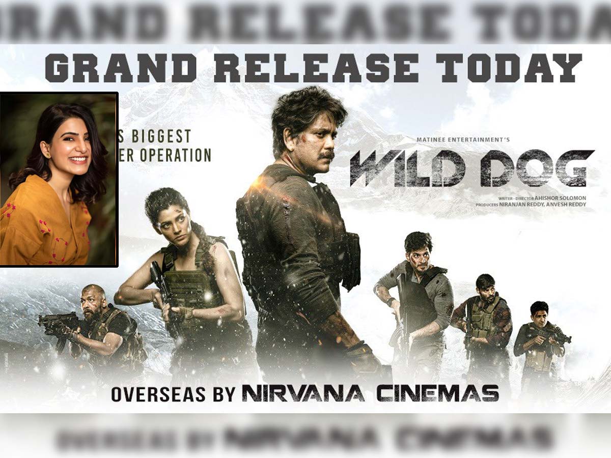 Samantha review on Wild Dog: I got a Hollywood style