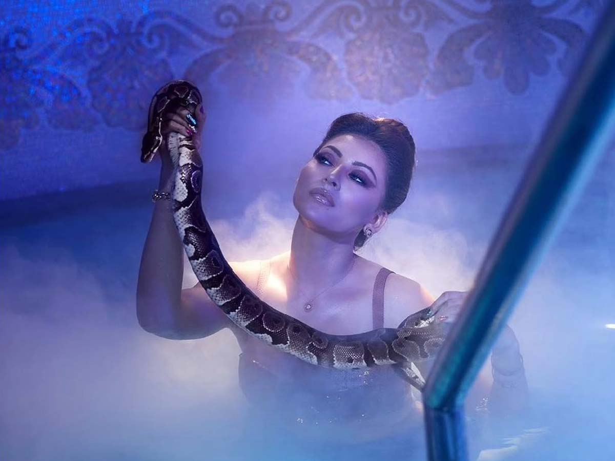 Bombshell Urvashi poses with Python in Pool