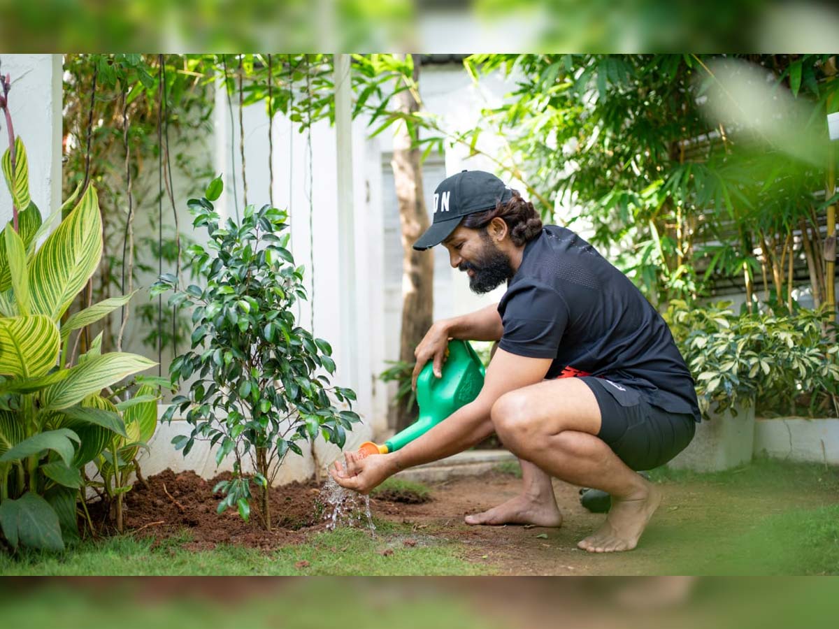 Allu Arjun urges everyone to plant saplings