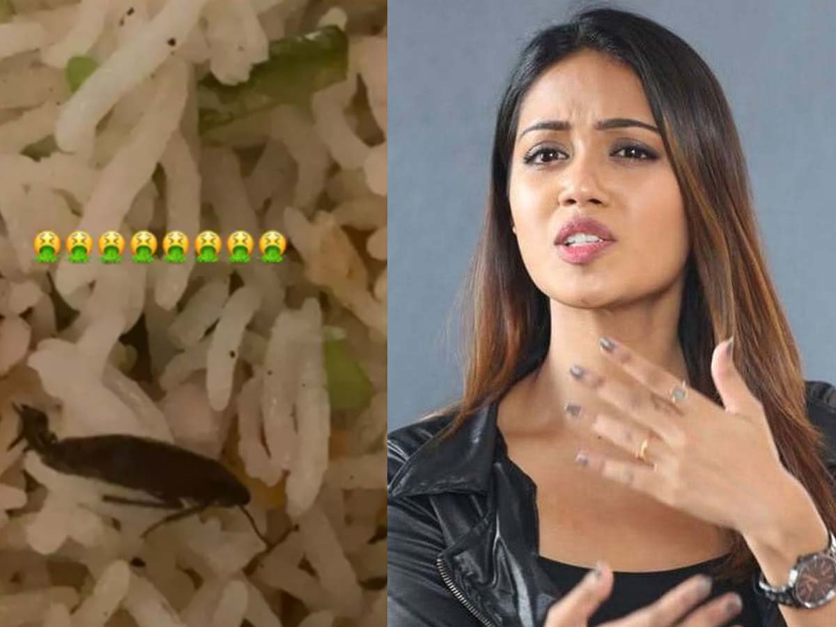 Nivetha Pethuraj finds cockroach in her food, fires at Swiggy