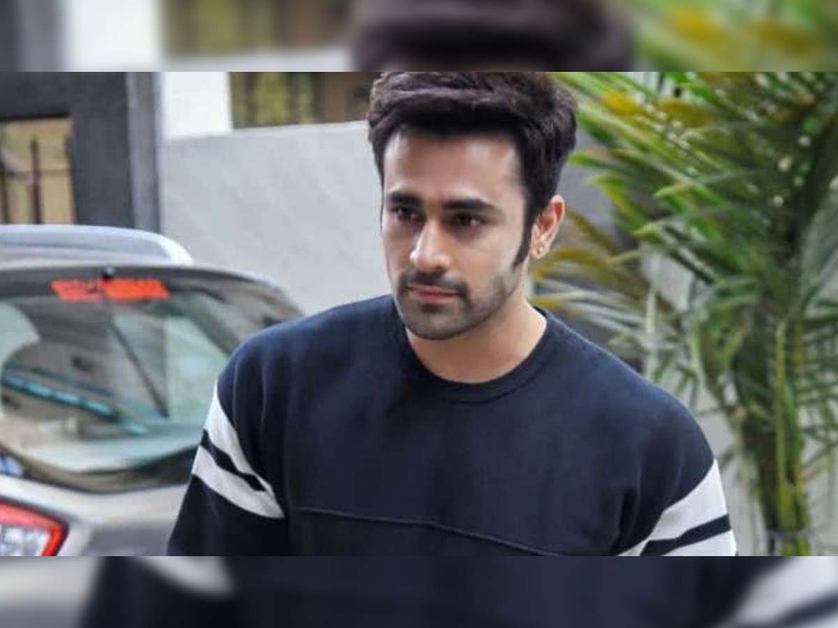 TV actor Pearl V Puri arrested for raping 5 years old girl