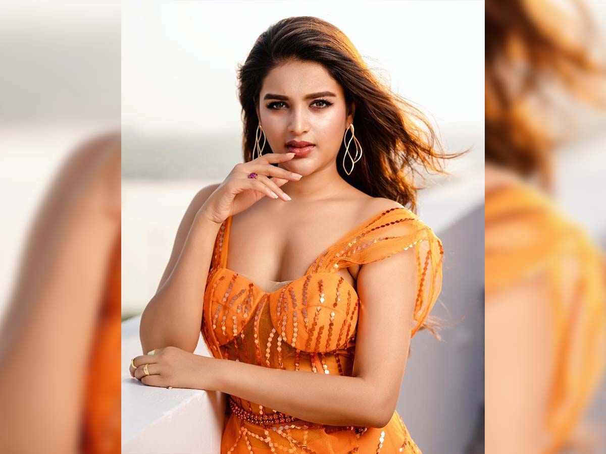 Nidhhi Agerwal about special song in rain backdrop