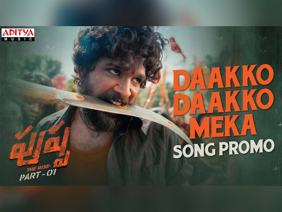 Daakko Daakko Meka  song promo: Allu Arjun style and swag