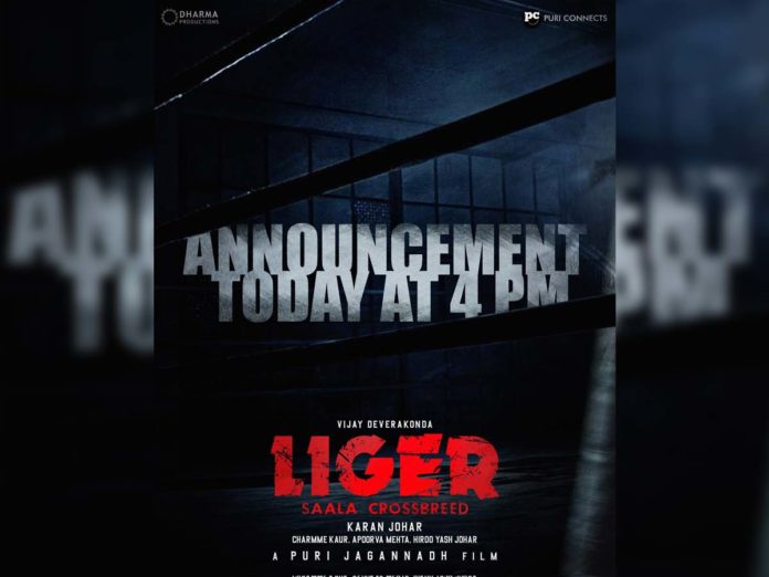 Get ready for blast: Liger packed to unleash today @ 4 pm