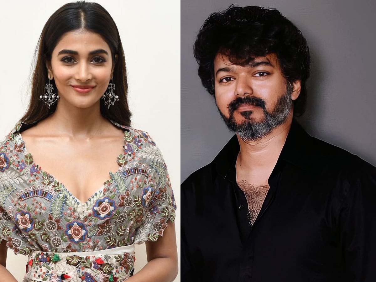 Pooja Hegde: One word is not enough but Vijay is Sweetest