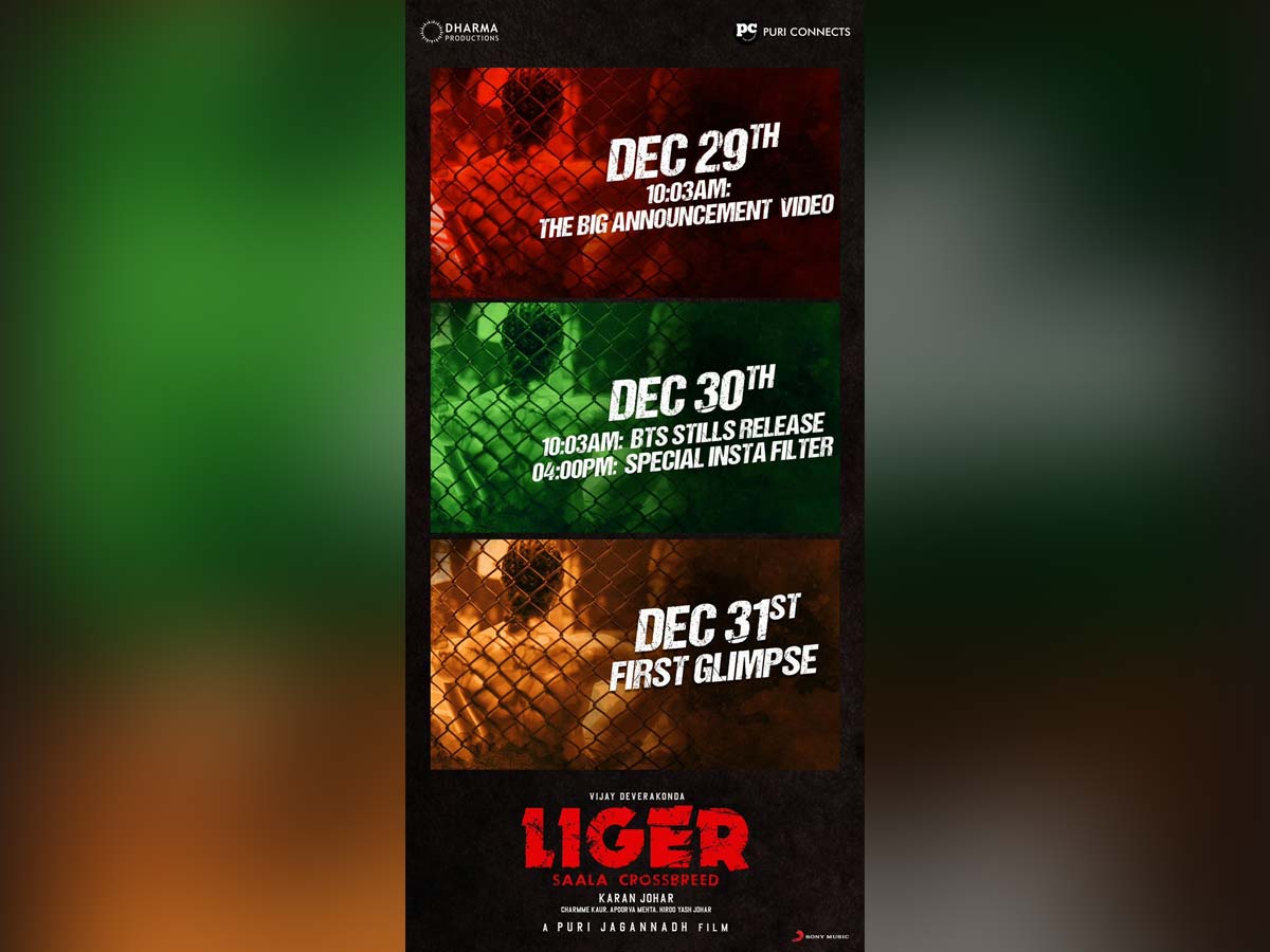 Assemble Everyone: Liger Time Table out