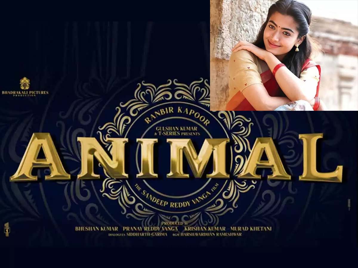 Ranbir Kapoor Animal picks Rashmika Mandanna for special song?