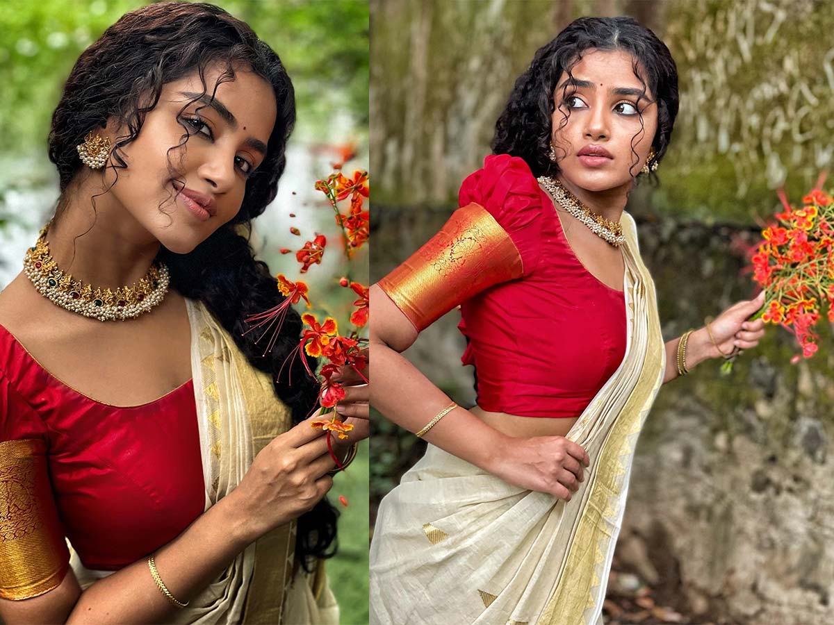 Anupama serving her curves in saree - viral photos