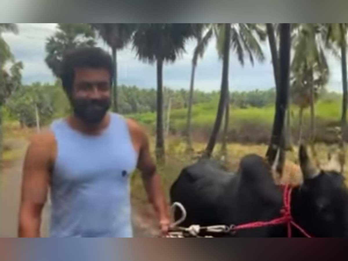 Hero SURYA video is going viral as a symbol of simplicity