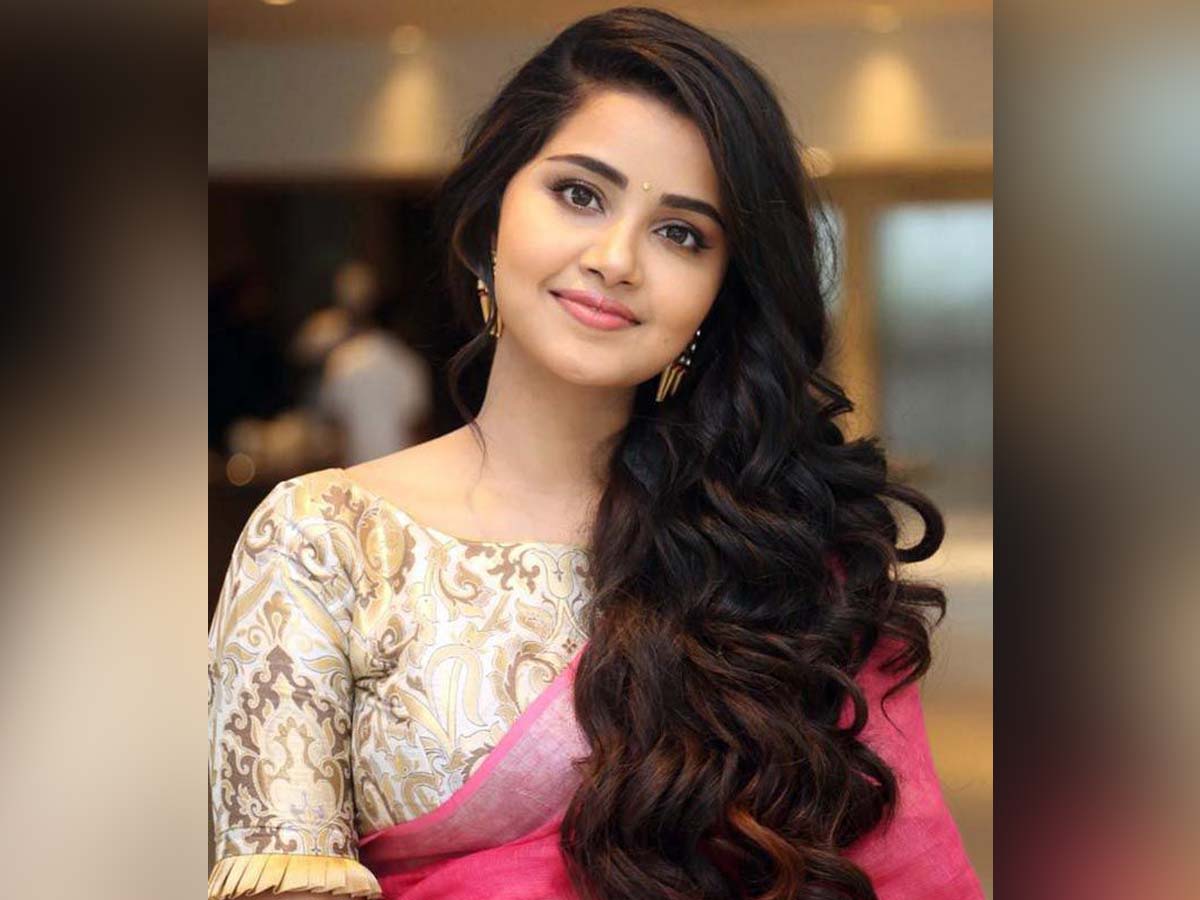 Anupama Parameswaran one sided love, Who is the mysterious person?