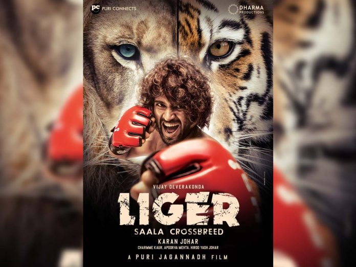 Liger Story review