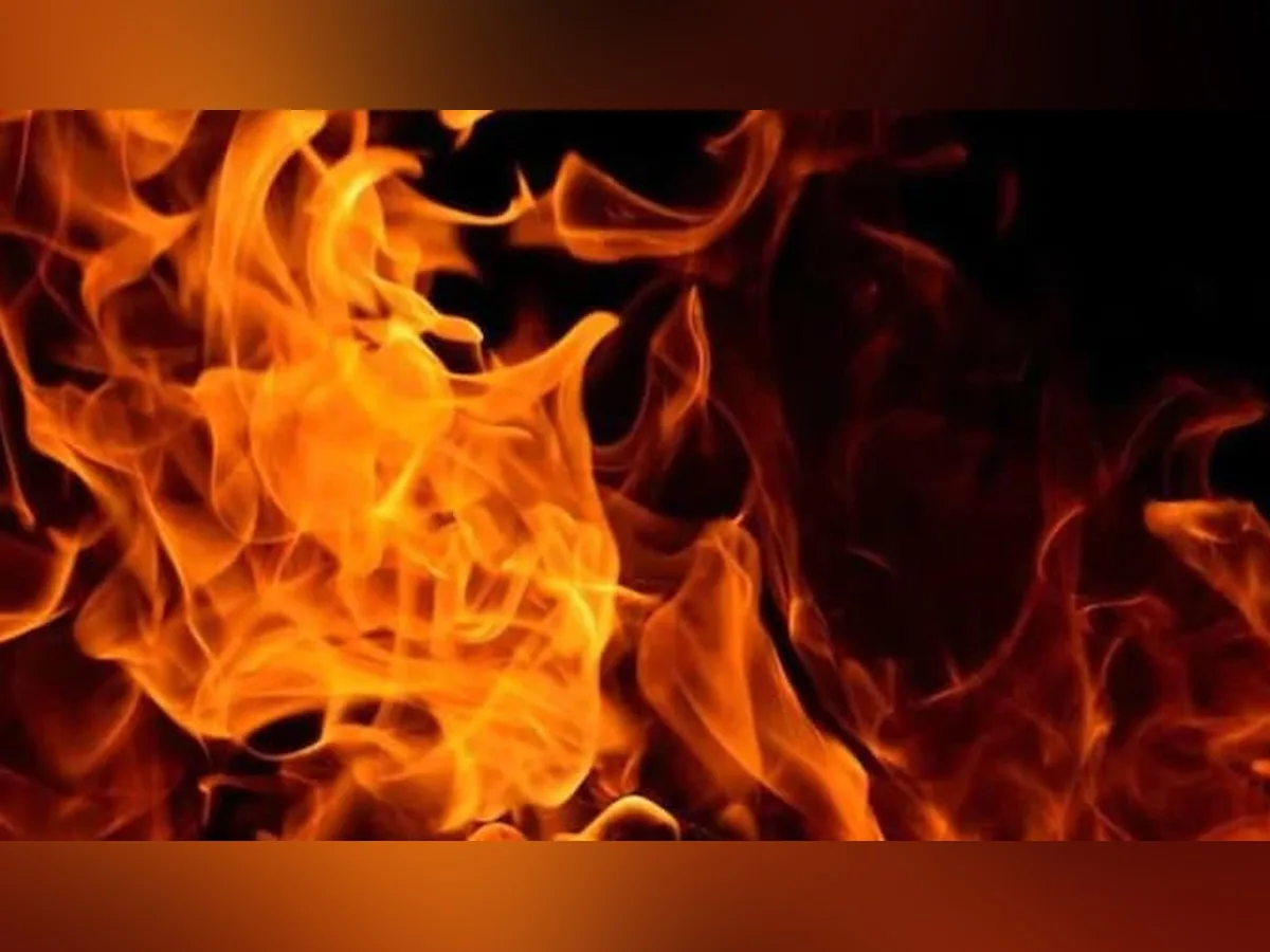 4 died as gas leak triggers fiery explosion in Visakhapatnam