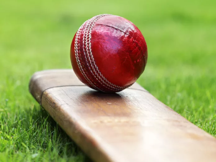 Cricket dominates Year in Search 2022 Google India List