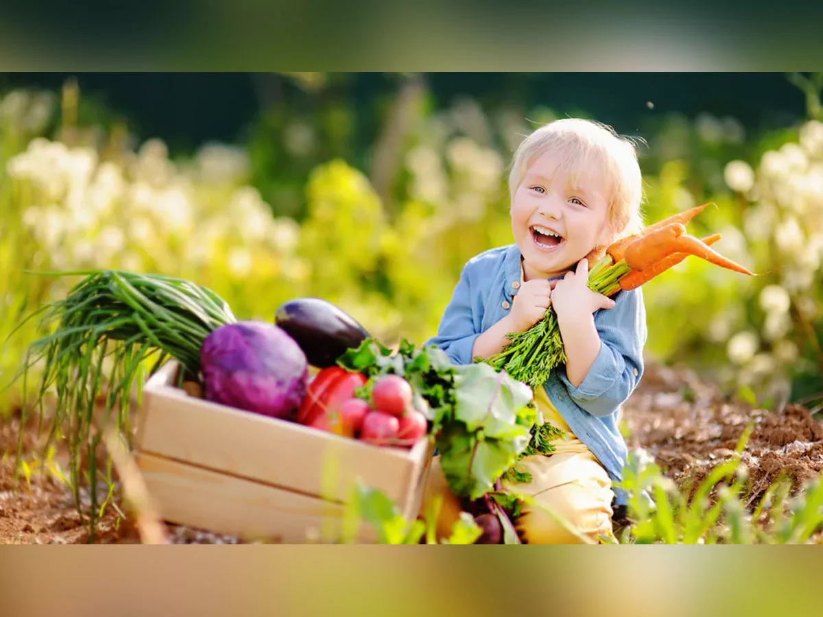 Inorganic food additives can cause allergies to kids; Study