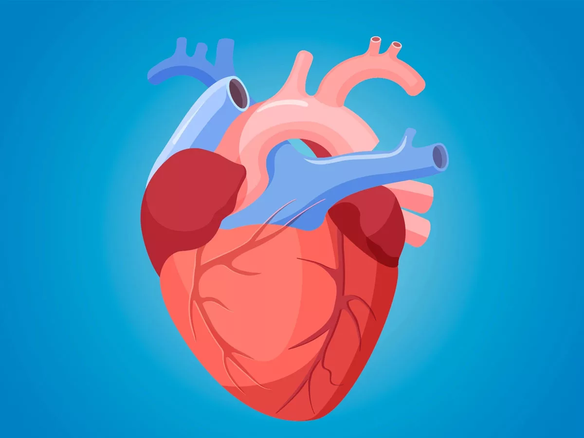 List of best exercises to strengthen the Heart
