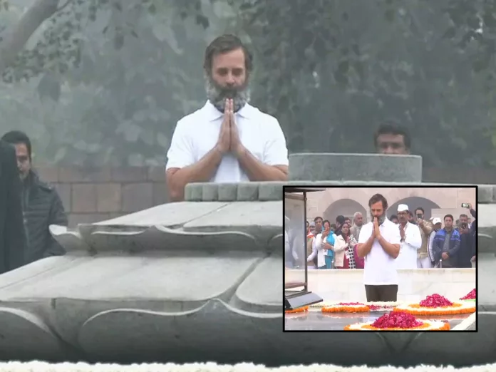 Rahul Gandhi manages with just a T-shirt as Delhi Shivers