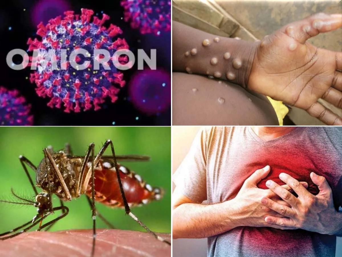 Year-ender 2022: List of diseases that made news this year