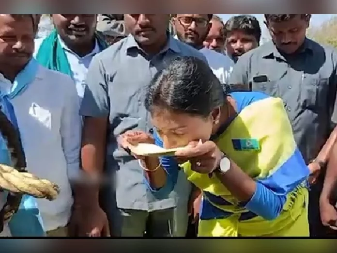 YS Sharmila tastes tati Kallu during the Padayatra, Video viral