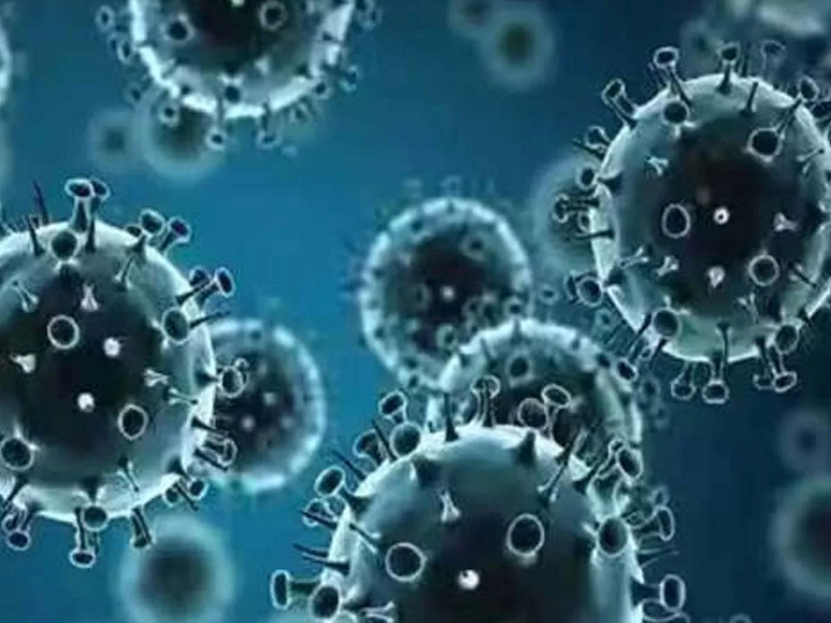 2 Death in India due to H3N2 virus