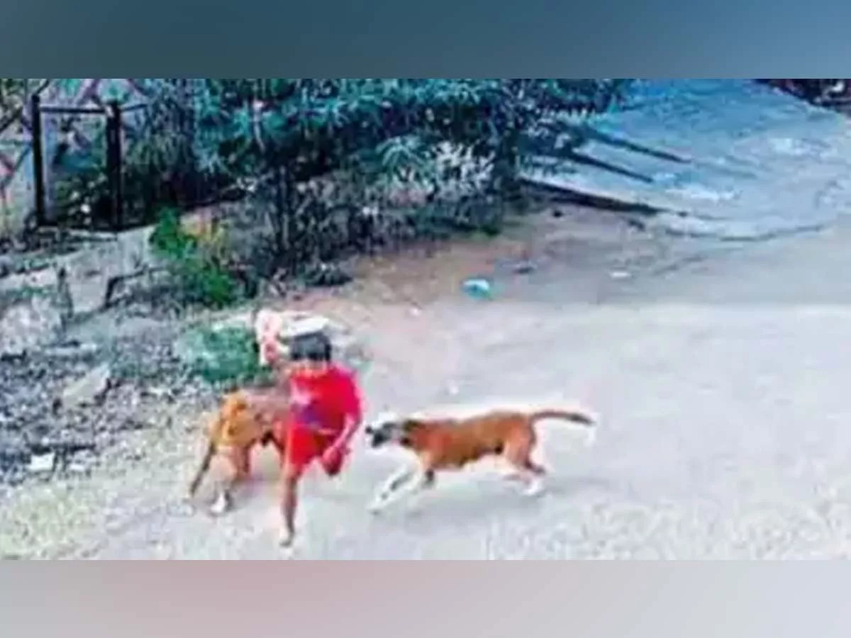 Stray Dog terror in Telangana: Stray dogs attacked another child in Hyderabad