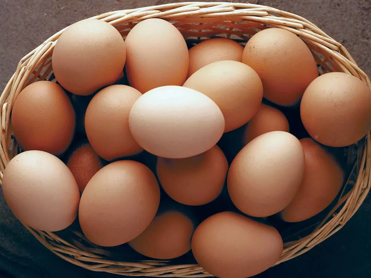 Why is it said that people over 40 should eat eggs regularly?